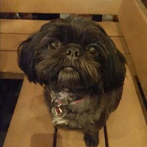 Meet your Posher, Marta